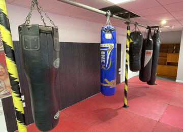 Punch Bags